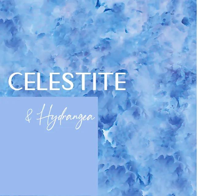 Arichika Bottom| Celestite   Hydrangea