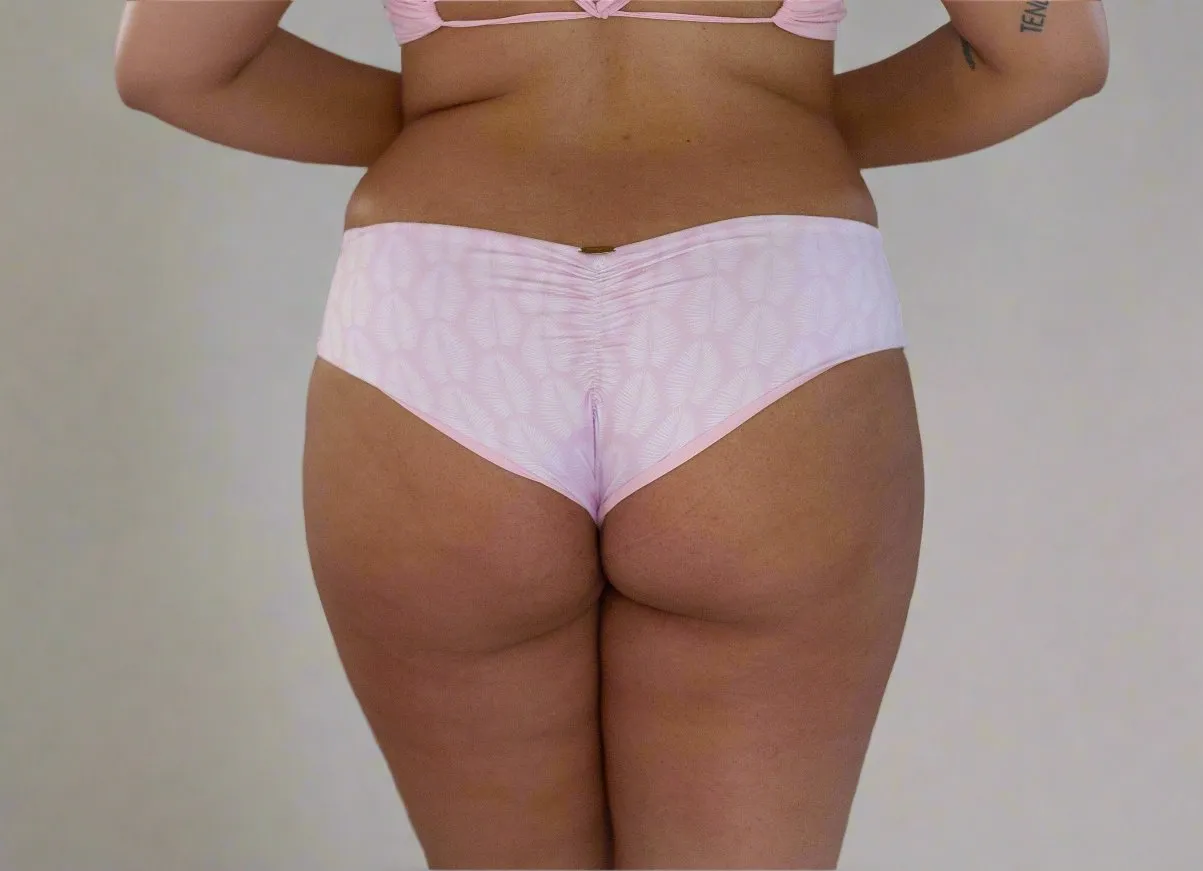 Arichika Bottom| Pink Palm   Conch