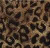 Babysitter Underwire Bikini Top - Leopard