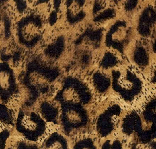 Barbie Cheeky Bikini Pant - Leopard