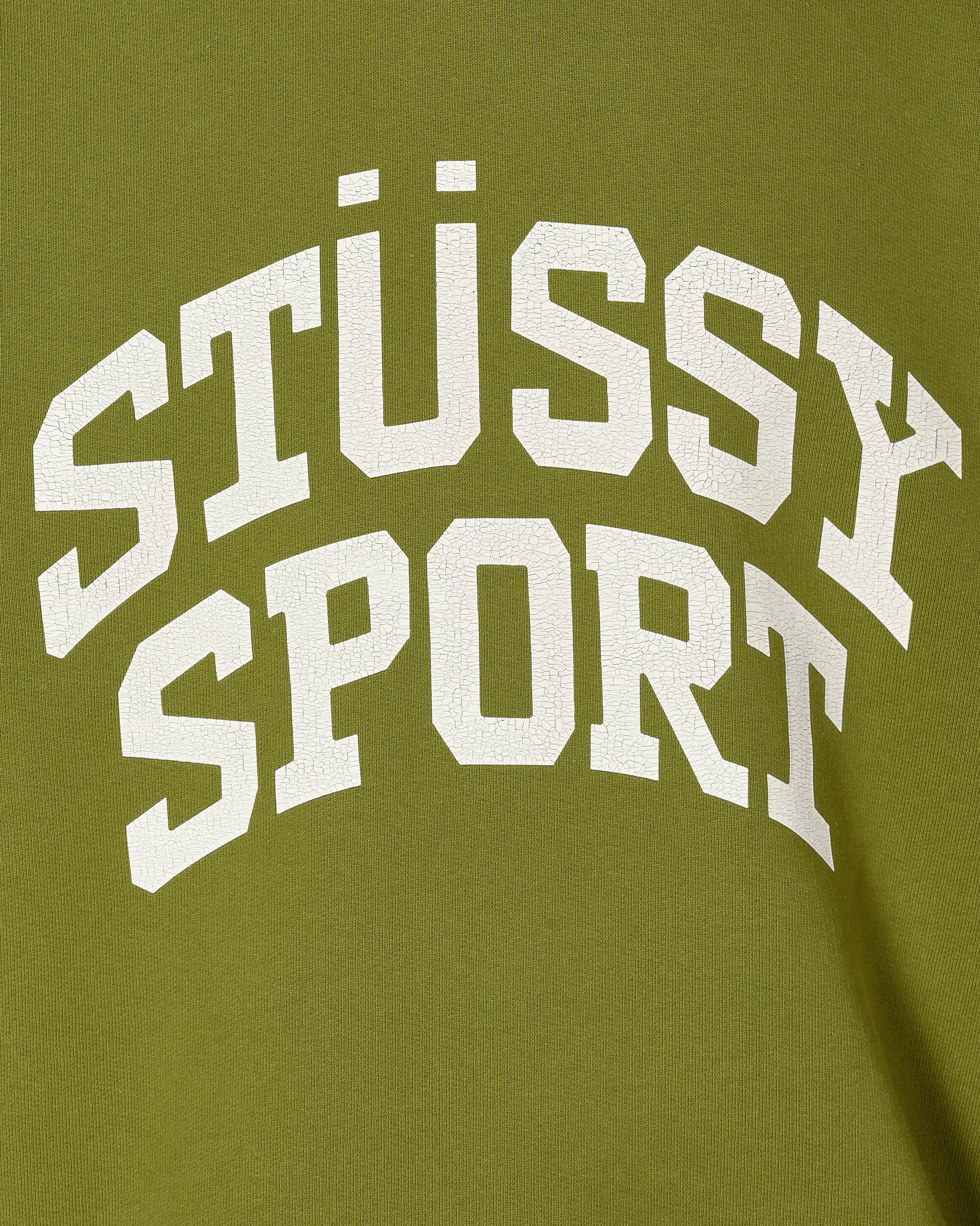 Big Crackle Sport Crewneck Sweatshirt Green