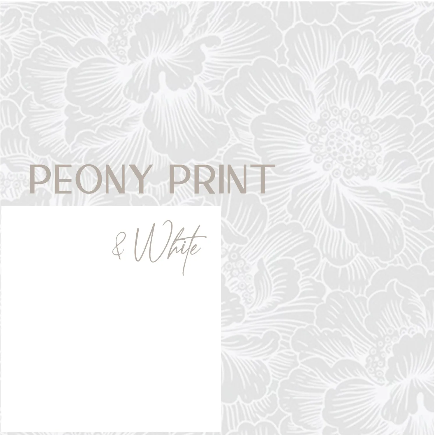 Manui Bottom| Peony   White