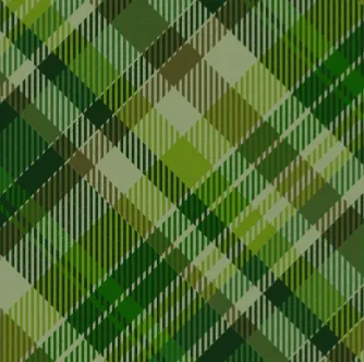 Shorties Pant 2.0 - Green Plaid