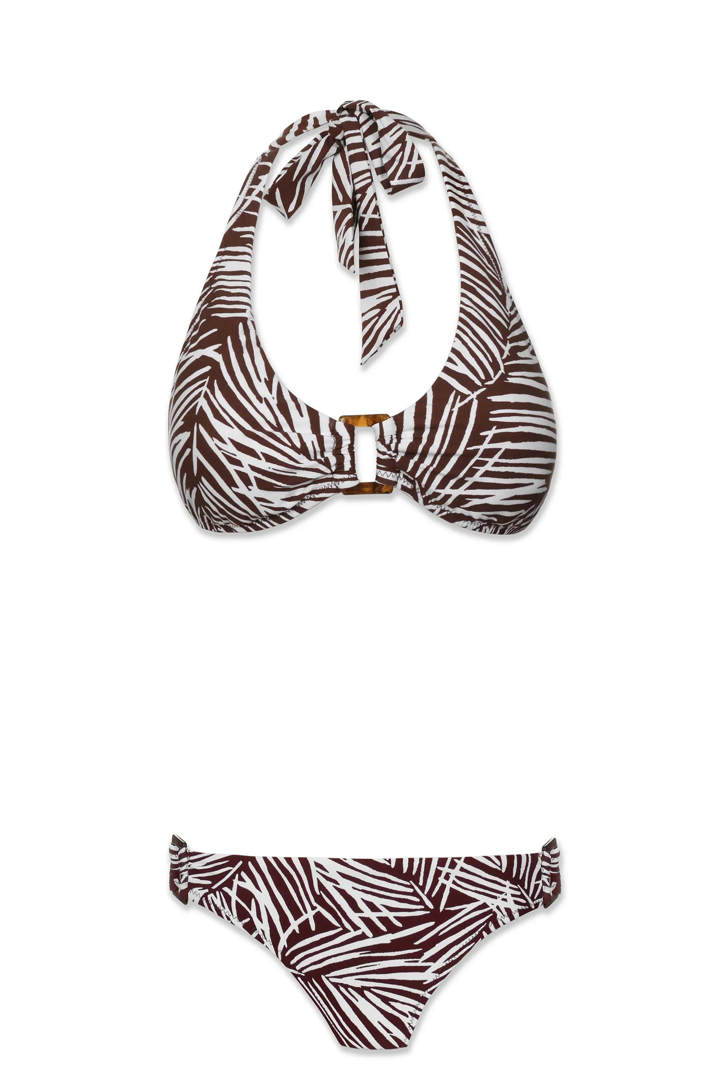 Tortoise Hipster  |  Paradise Palm