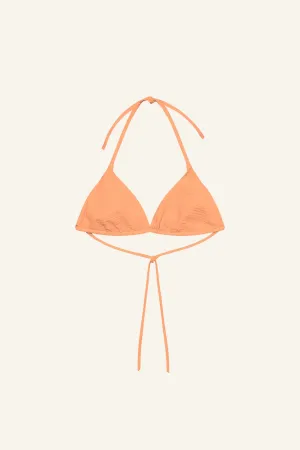 Triangle Top '25